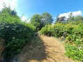 Wood End Gardens, Northolt