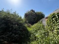 Walton Avenue, Harrow